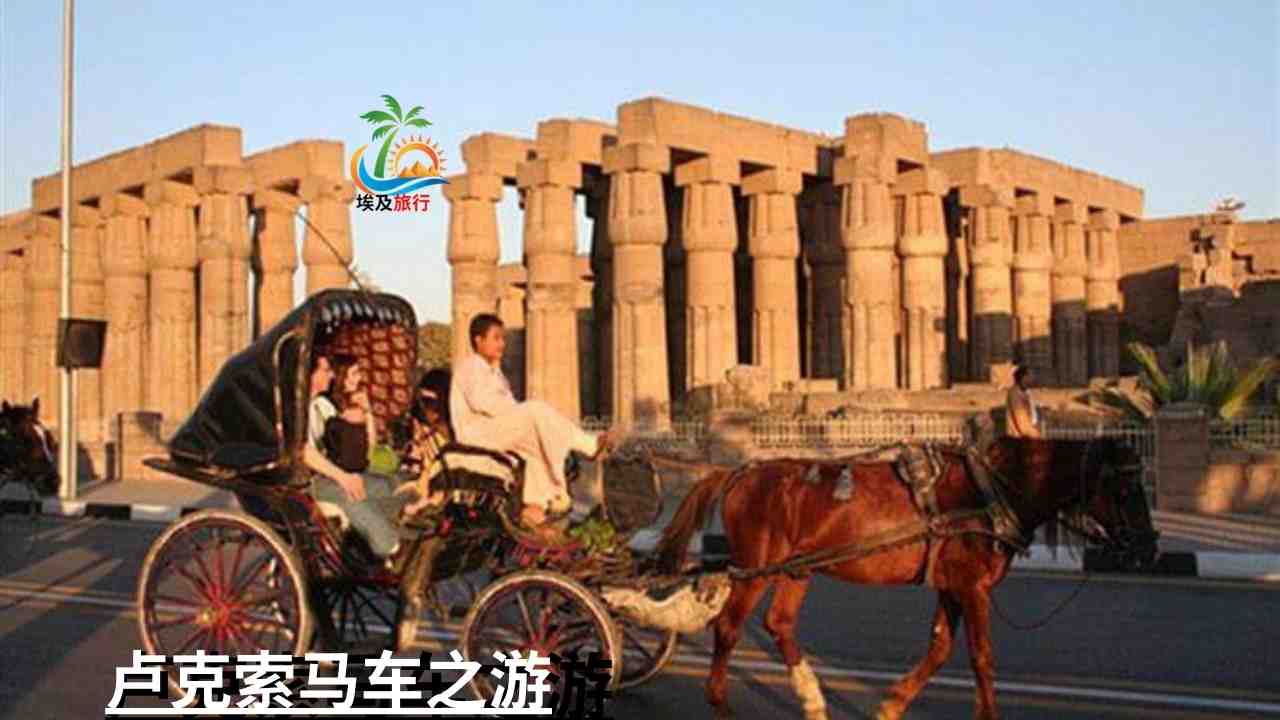 卢克索马车之游-Horse-Carriage-tour-Luxor