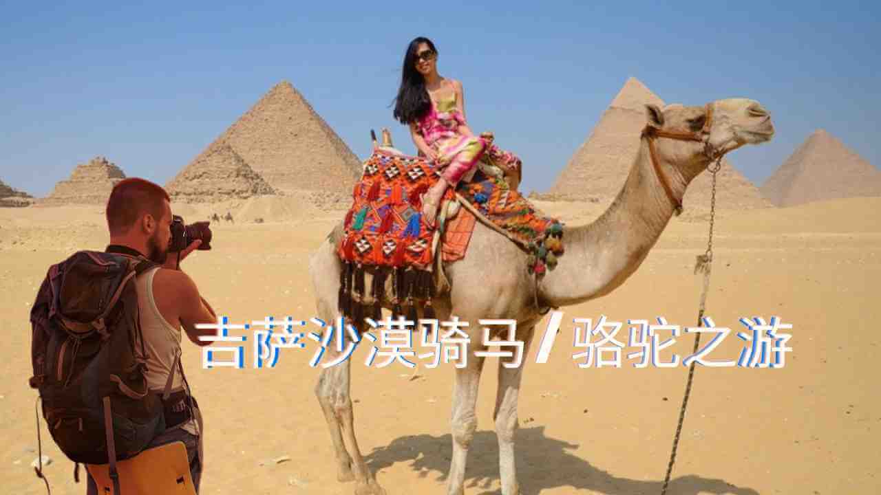 吉萨沙漠骑马骆驼之游 Camel ride trrip At giza pyramids