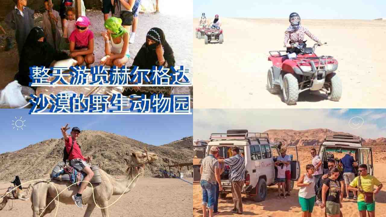 整天游览赫尔格达沙漠的野生动物园 safari Hurghada