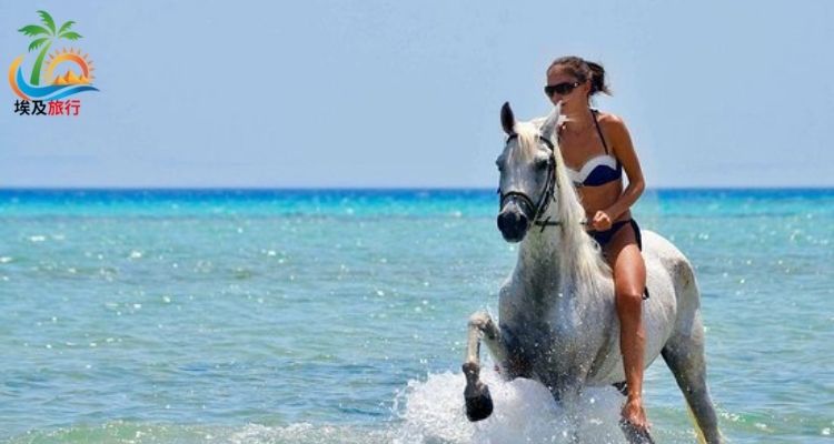 骑马 赫尔格达 horse riding hurghada